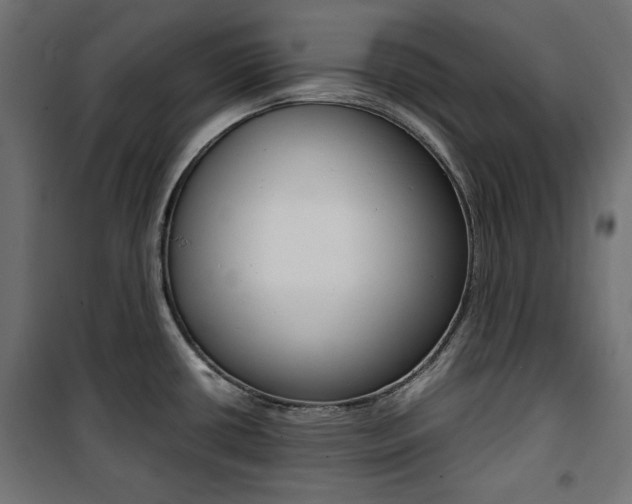 X0000100881434200806201136