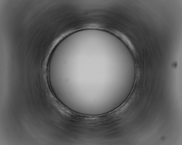 X0000100881435200806201136
