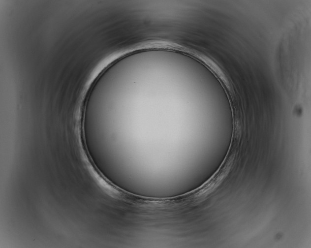 X0000100881438200806201136