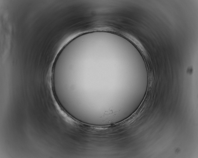 X0000100881439200806201137
