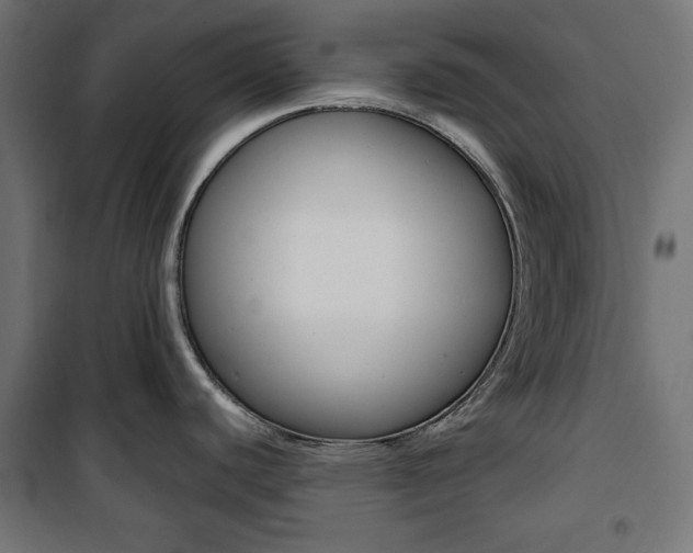 X0000100881440200806201137