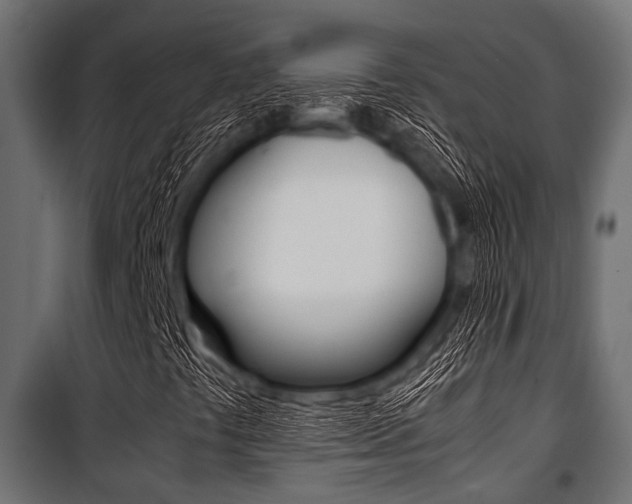 X0000100881441200806201136