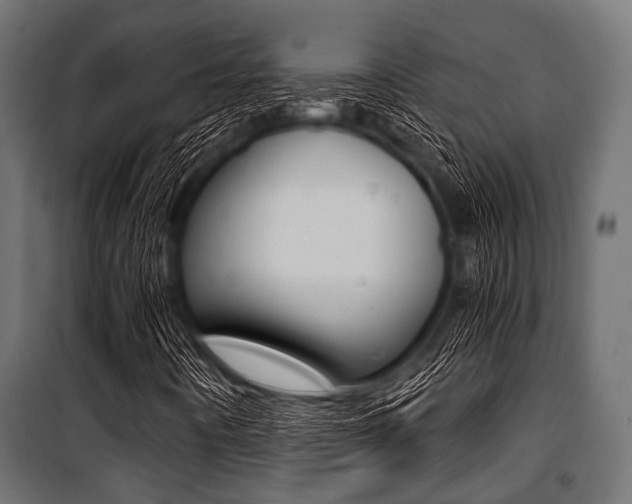 X0000100881442200806201136