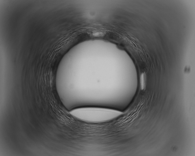 X0000100881443200806201136