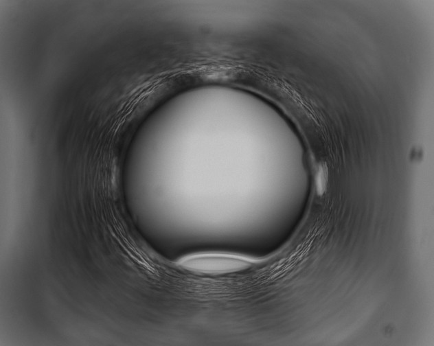 X0000100881444200806201136