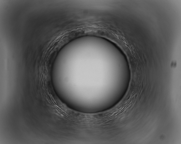X0000100881445200806201136