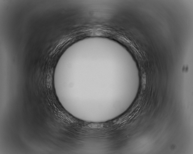 X0000100881446200806201135