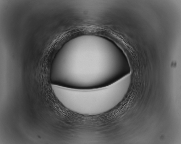 X0000100881447200806201135