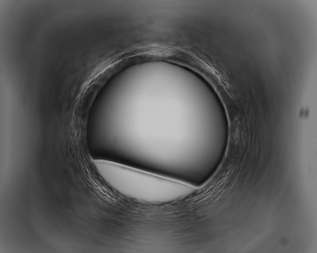 X0000100881448200806201135