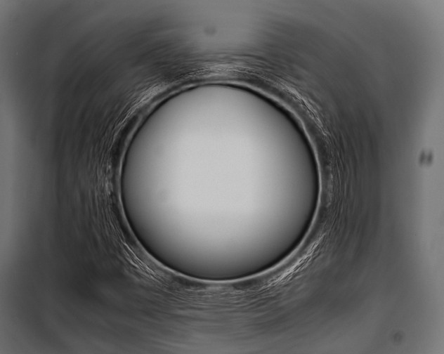 X0000100881449200806201135