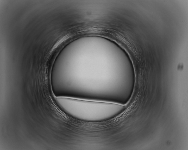 X0000100881450200806201135