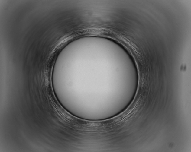 X0000100881451200806201135