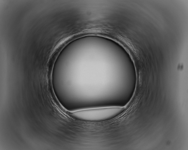 X0000100881452200806201135