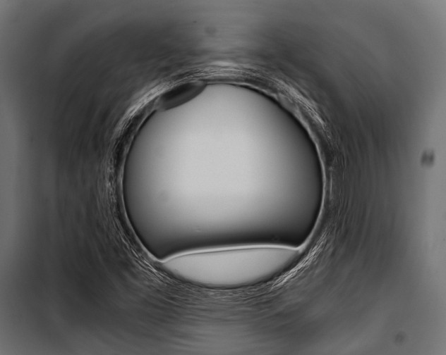 X0000100881453200806201135