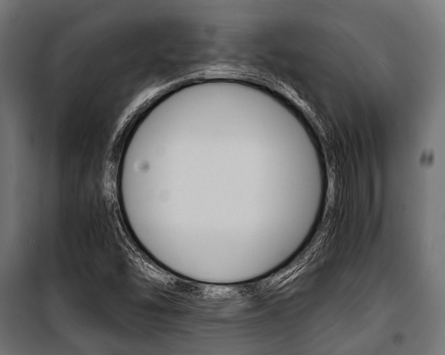 X0000100881454200806201135