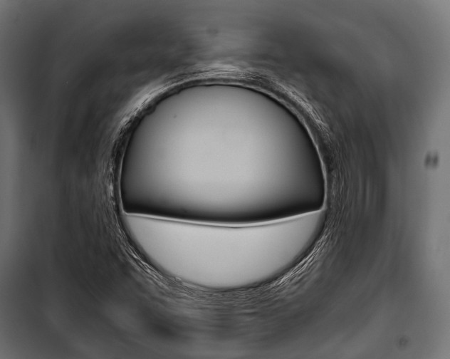 X0000100881455200806201135