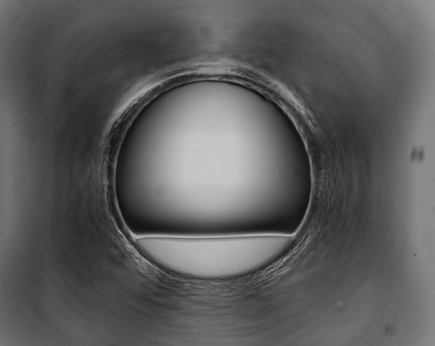 X0000100881456200806201135