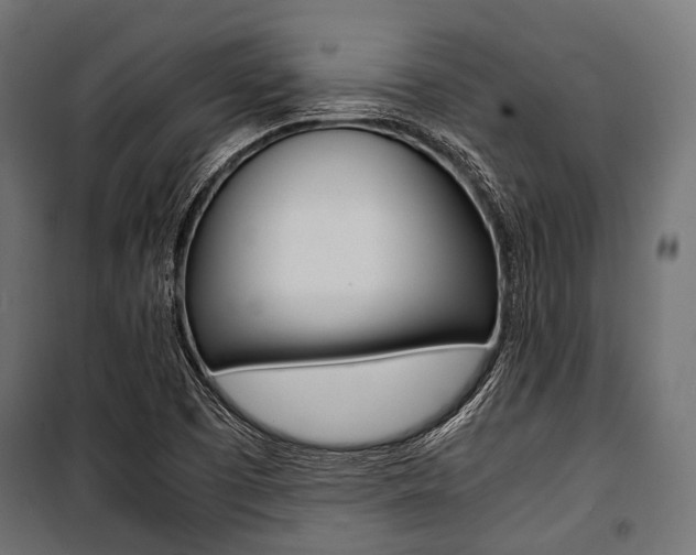 X0000100881457200806201135
