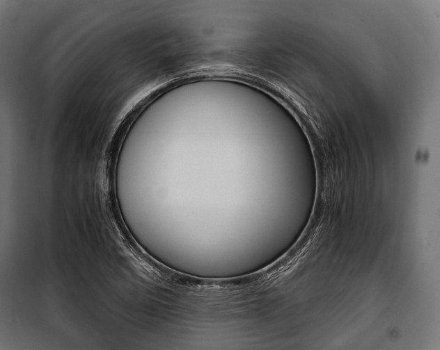 X0000100881458200806201135