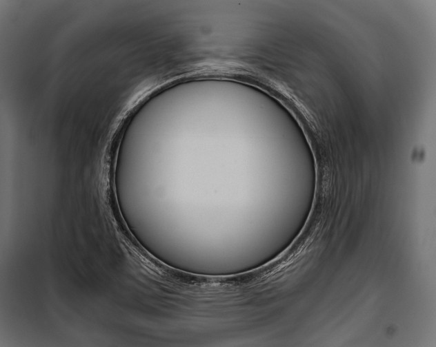 X0000100881459200806201135