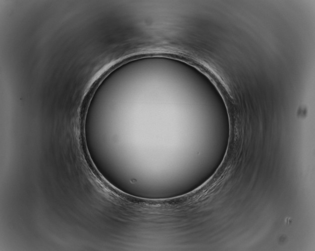 X0000100881460200806201135
