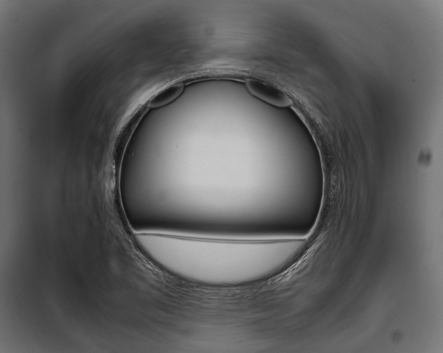 X0000100881461200806201135