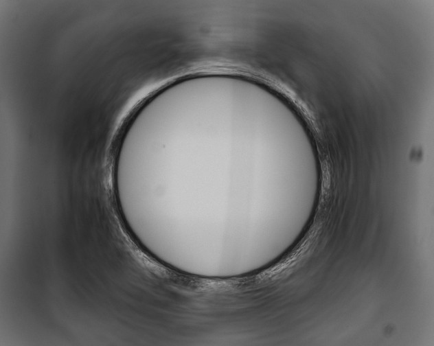 X0000100881462200806201135