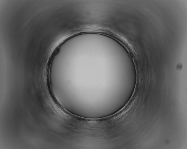 X0000100881463200806201135