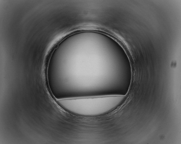 X0000100881464200806201135