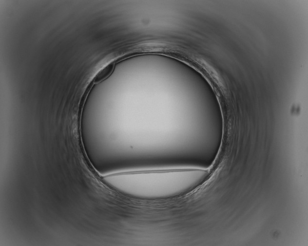 X0000100881465200806201135