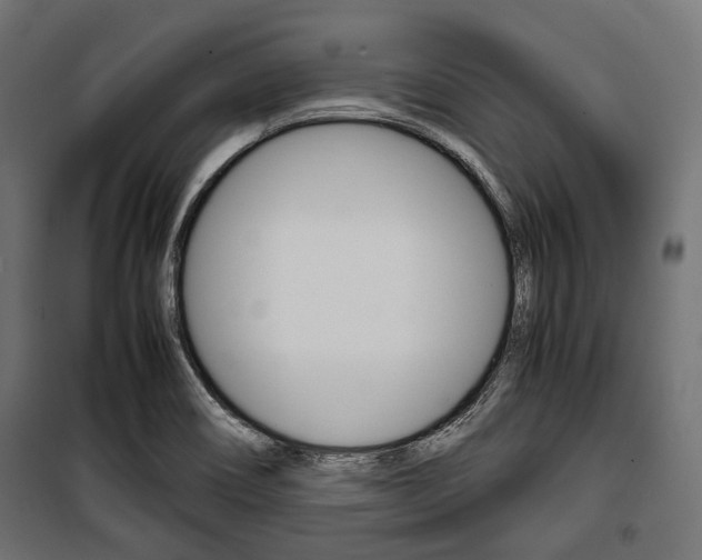 X0000100881466200806201135