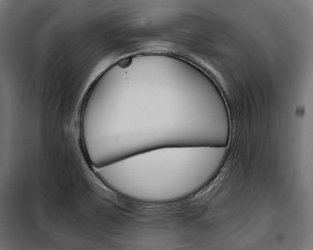 X0000100881467200806201135