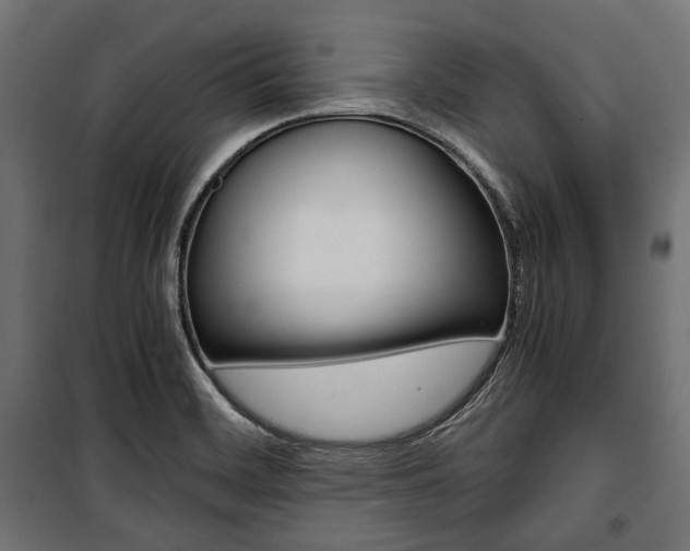X0000100881468200806201135