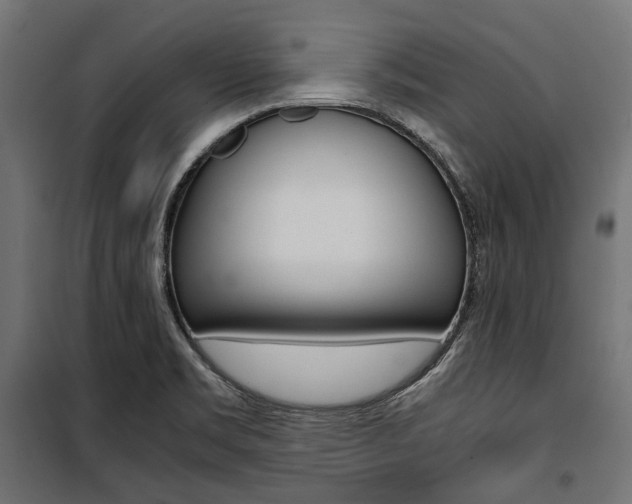 X0000100881469200806201135
