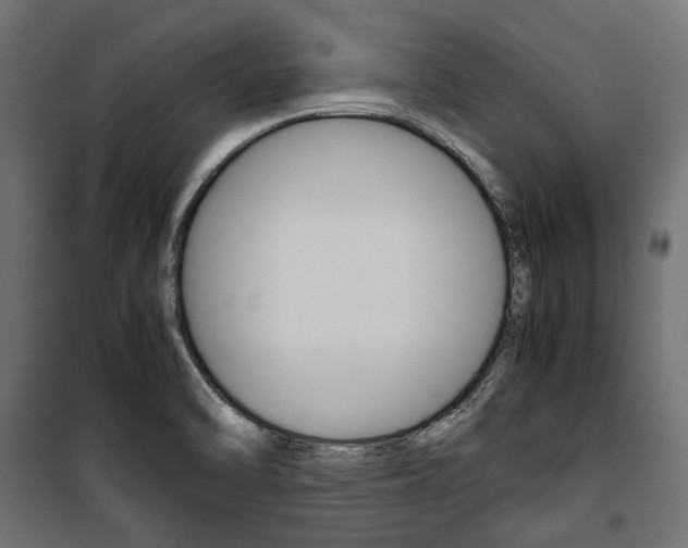 X0000100881470200806201135