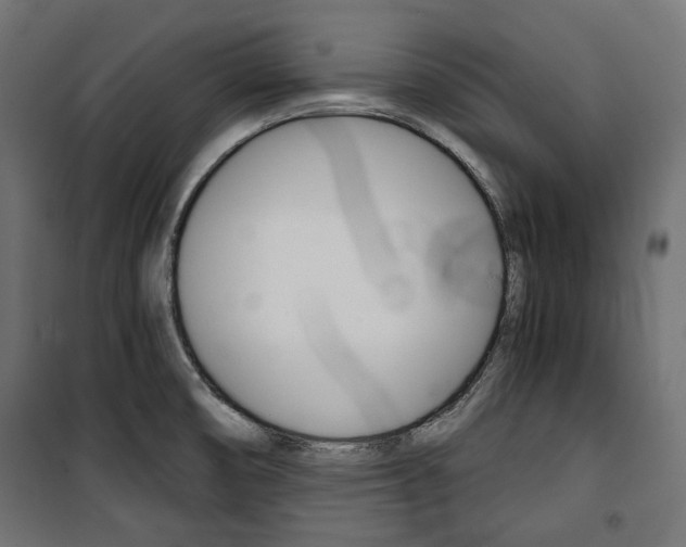 X0000100881474200806201135