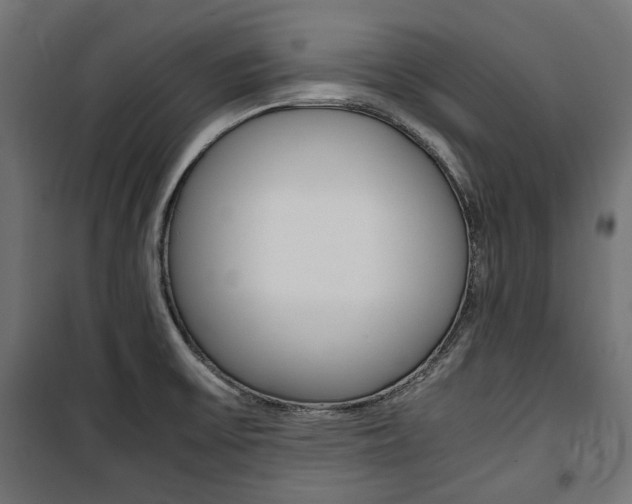 X0000100881475200806201135