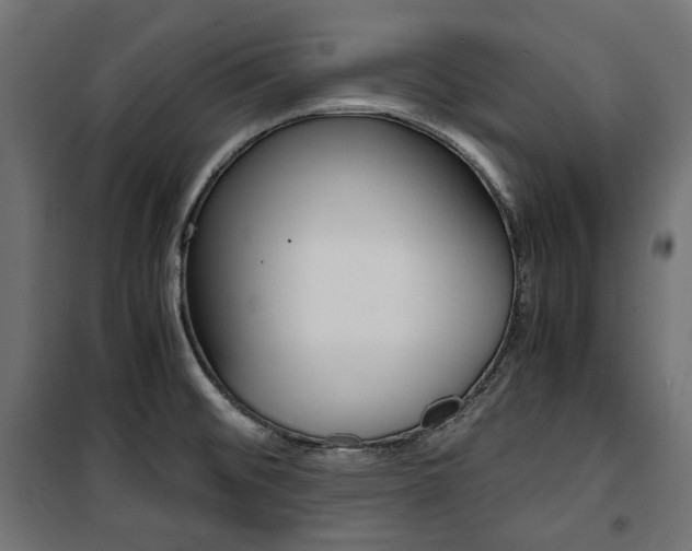 X0000100881476200806201135