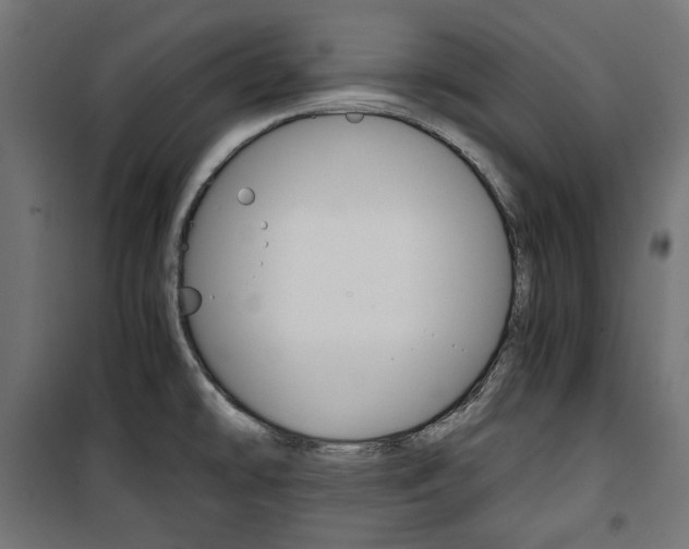 X0000100881478200806201135