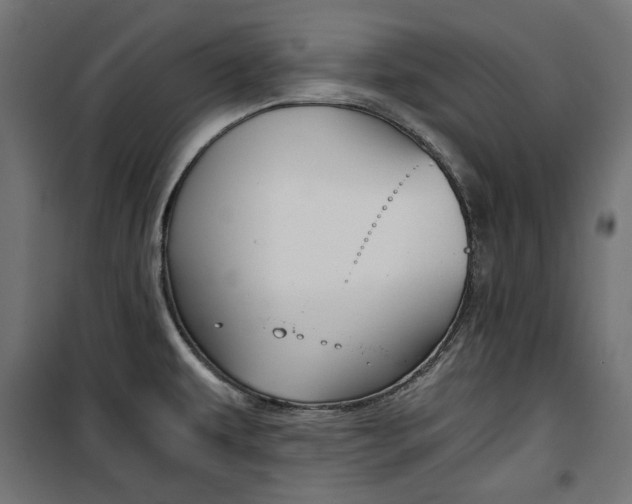 X0000100881479200806201135
