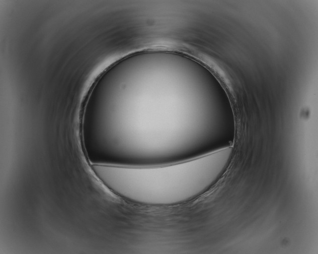 X0000100881480200806201135