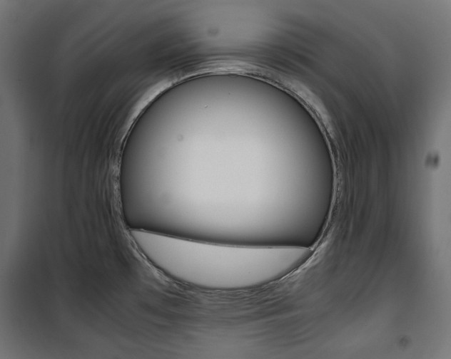 X0000100881481200806201135