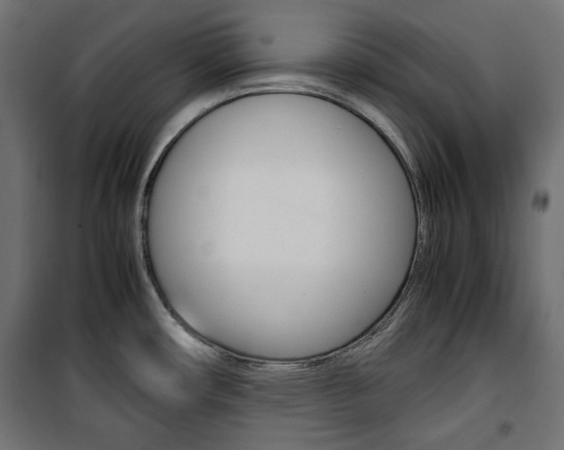 X0000100881482200806201135