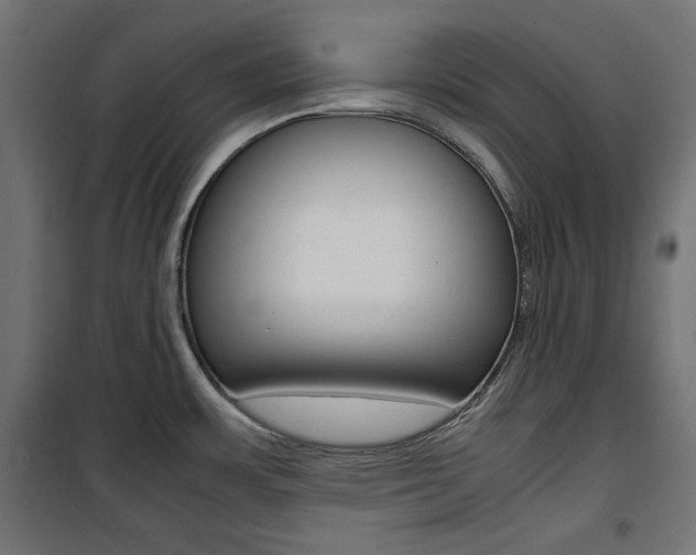 X0000100881483200806201135
