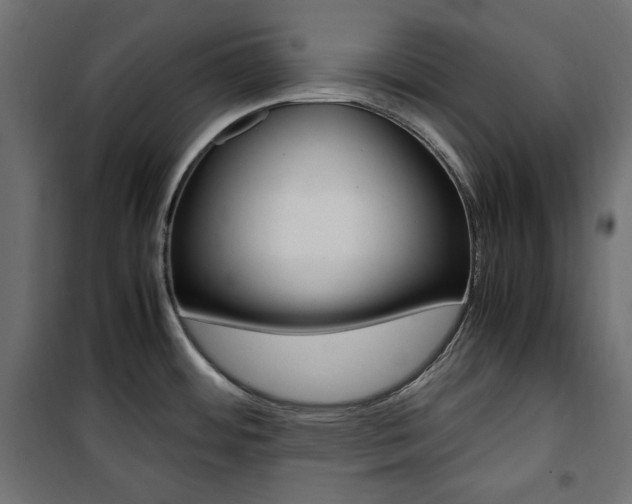 X0000100881484200806201135