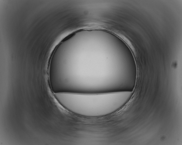 X0000100881485200806201135