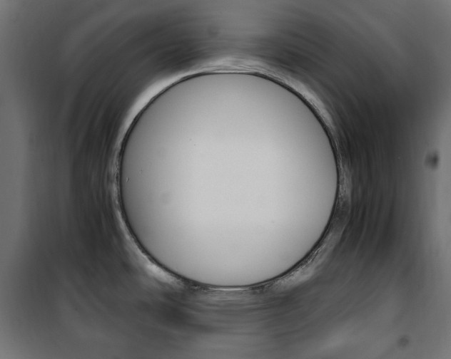 X0000100881486200806201135