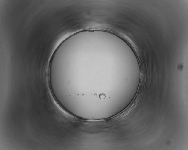 X0000100881487200806201135