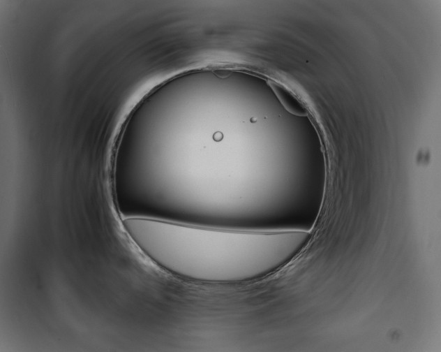 X0000100881488200806201135