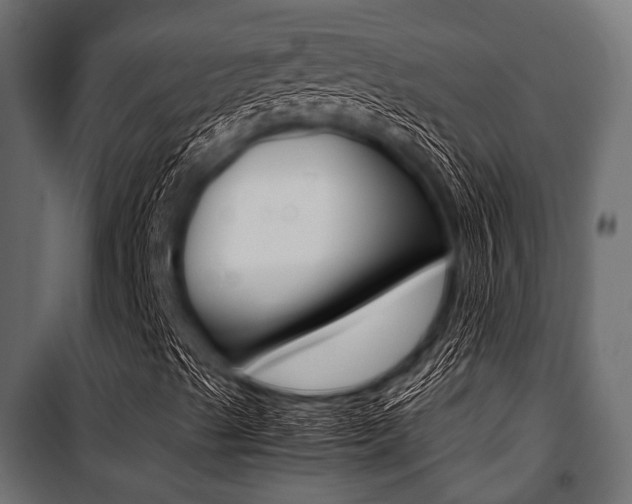 X0000100881489200806201134